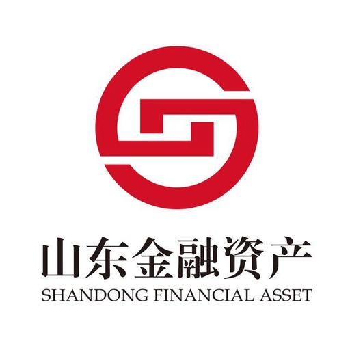 山东金融资产